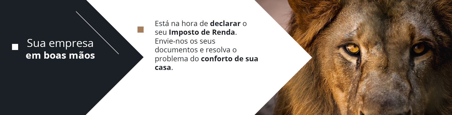 estrutura seção principal foto 4